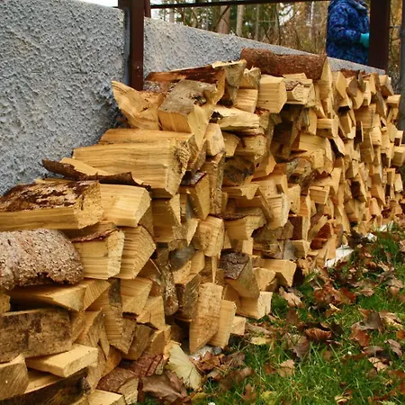 Lodge Nad Rybnikem *