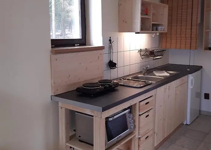 Domek letniskowy Nad Rybnikem *
